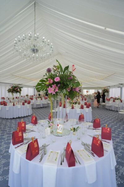 4957381e-14fd-4b50-85b9-65dec9a75969