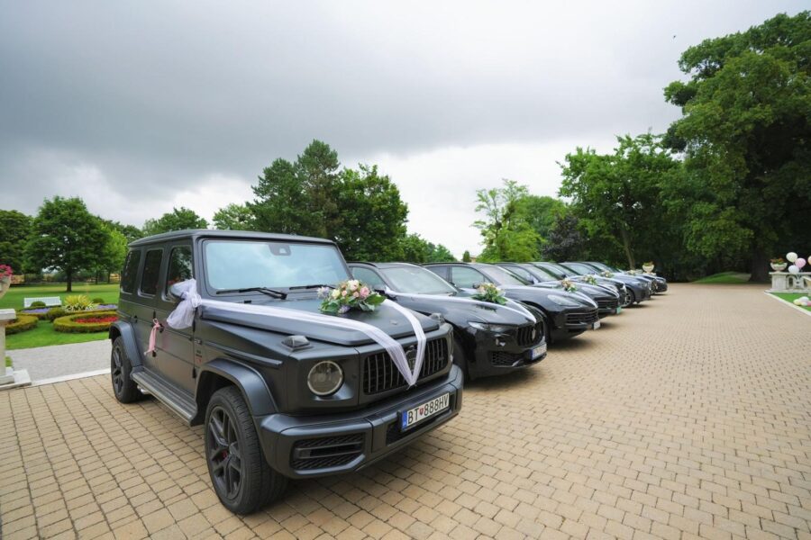 67d3bf02-57a1-493a-93d2-d3d56eaf453c