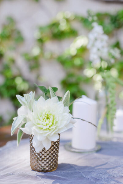 pripravy-miska-peto-034-m